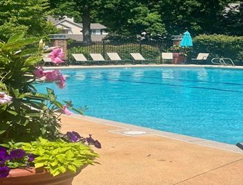 A pool surrounded by a black fence and trees.